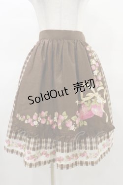 画像1: Innocent World / アンネッテスカート M ショコラ H-25-03-19-043-IW-SK-NS-ZH