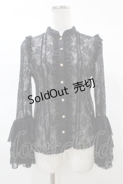 画像1: To Alice / 総レースブラウス S ブラック H-25-03-19-1059-LO-BL-NS-ZH