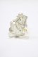 画像1: Enchantlic Enchantilly / Dolled up Ring（Bunny) Free クリア H-25-03-20-052-LO-AC-NS-ZH (1)