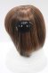 画像2: 中央町戦術工芸 / 装甲バレッタ  ブラック H-25-03-23-039-PU-AC-KB-ZH (2)