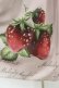 画像5: Melody BasKet / Natural Strawberryレースジャンパースカート  ピンク H-25-03-23-1020-LO-OP-KB-ZH (5)