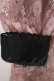 画像3: Swankiss / TS mademoiselle lace O/P Free ピンク H-25-03-26-1009-CA-OP-NS-ZH (3)