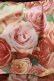 画像5: Jane Marple Dans Le Salon / ローズフリルスカート  ローズ H-25-03-28-008-JM-SK-KB-ZH