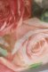 画像6: Jane Marple Dans Le Salon / ローズフリルスカート  ローズ H-25-03-28-008-JM-SK-KB-ZH