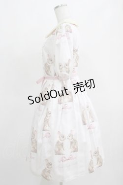 画像2: Leur Getter / Twin Rabbit袖付ワンピース L(トールサイズ) さくらピンク H-25-03-29-005-LU-OP-KB-ZH