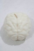 THE BLACKENED TEETH / Brain Candle  WHT H-25-03-30-1041-PU-ZA-KB-ZH