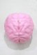 画像1: THE BLACKENED TEETH / Brain Candle  PNK H-25-03-30-1043-PU-ZA-KB-ZH (1)