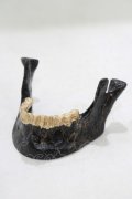 THE BLACKENED TEETH / JAW CARD HOLDER  BLKGMGLD H-25-03-30-1044-PU-ZA-KB-ZH