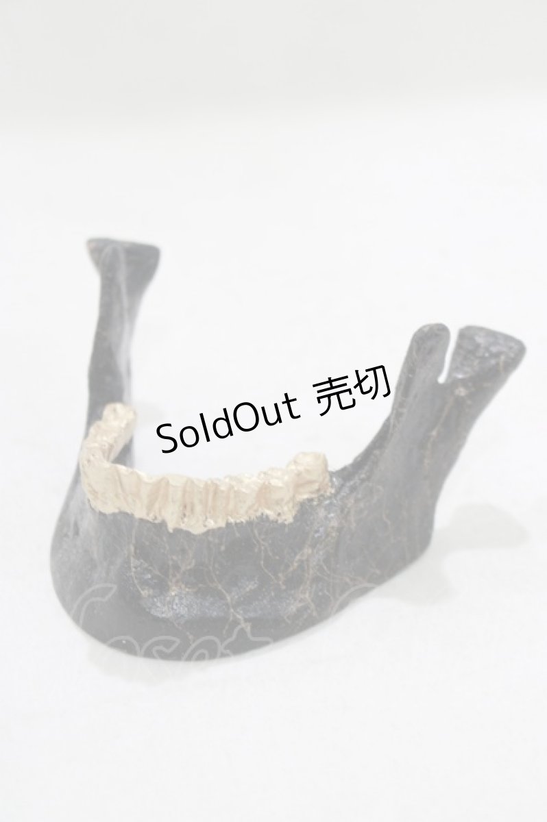 画像1: 【SALE】THE BLACKENED TEETH / JAW CARD HOLDER  BLKGMGLD H-25-03-30-1044-PU-ZA-KB-ZT-W004 (1)