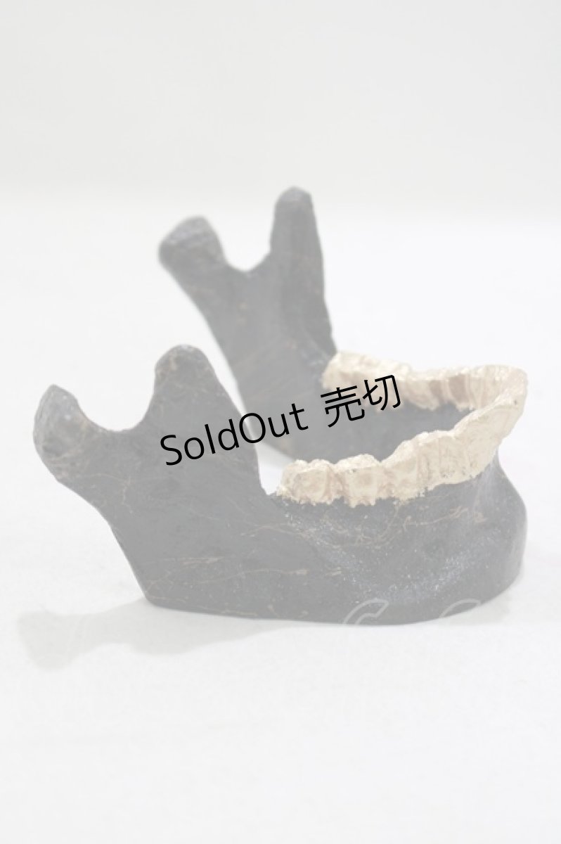 画像2: 【SALE】THE BLACKENED TEETH / JAW CARD HOLDER  BLKGMGLD H-25-03-30-1044-PU-ZA-KB-ZT-W004 (2)