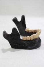 画像2: 【SALE】THE BLACKENED TEETH / JAW CARD HOLDER  BLKGMGLD H-25-03-30-1044-PU-ZA-KB-ZT-W004 (2)
