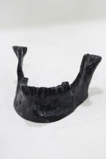 画像1: 【SALE】THE BLACKENED TEETH / JAW CARD HOLDER  BLK H-25-03-30-1047-PU-ZA-KB-ZT-W004 (1)