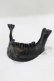 画像1: THE BLACKENED TEETH / JAW CARD HOLDER  BLKGM H-25-03-30-1048-PU-ZA-KB-ZH (1)