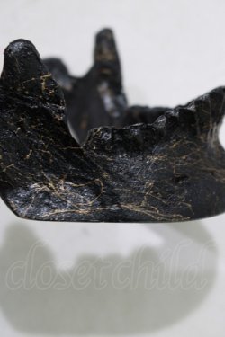 画像3: THE BLACKENED TEETH / JAW CARD HOLDER  BLKGM H-25-03-30-1048-PU-ZA-KB-ZH