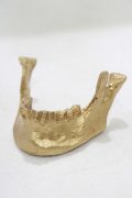 THE BLACKENED TEETH / JAW CARD HOLDER  GLD H-25-03-30-1049-PU-ZA-KB-ZH