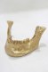 画像1: THE BLACKENED TEETH / JAW CARD HOLDER  GLD H-25-03-30-1049-PU-ZA-KB-ZH (1)