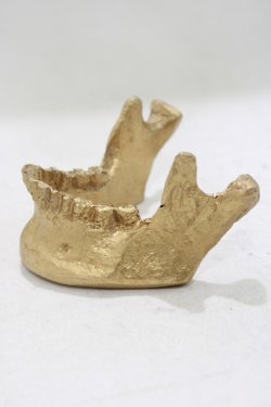 画像2: THE BLACKENED TEETH / JAW CARD HOLDER  GLD H-25-03-30-1049-PU-ZA-KB-ZH