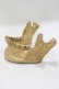 画像2: THE BLACKENED TEETH / JAW CARD HOLDER  GLD H-25-03-30-1049-PU-ZA-KB-ZH (2)