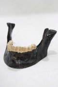 THE BLACKENED TEETH / JAW CARD HOLDER  BLKGMGLD H-25-03-30-1050-PU-ZA-KB-ZH