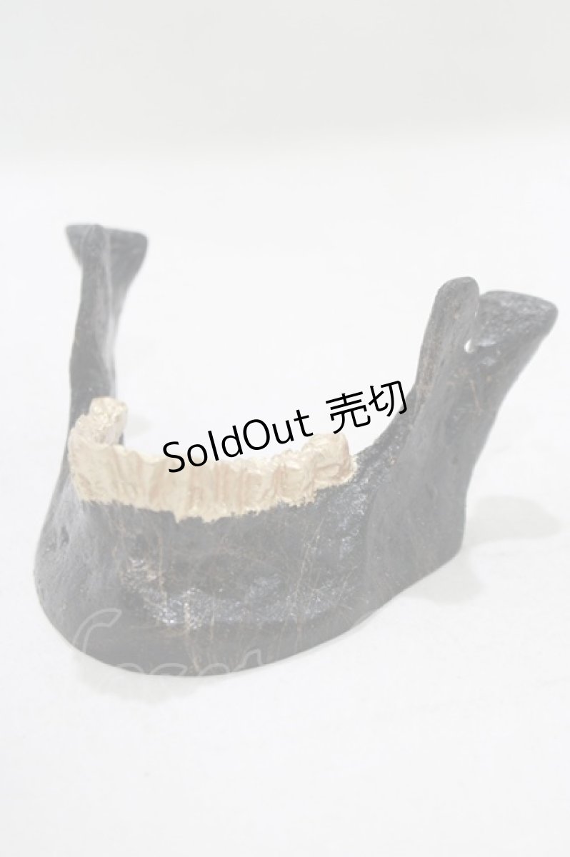 画像1: 【SALE】THE BLACKENED TEETH / JAW CARD HOLDER  BLKGMGLD H-25-03-30-1050-PU-ZA-KB-ZT-W004 (1)