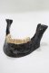 画像1: THE BLACKENED TEETH / JAW CARD HOLDER  BLKGMGLD H-25-03-30-1050-PU-ZA-KB-ZH (1)