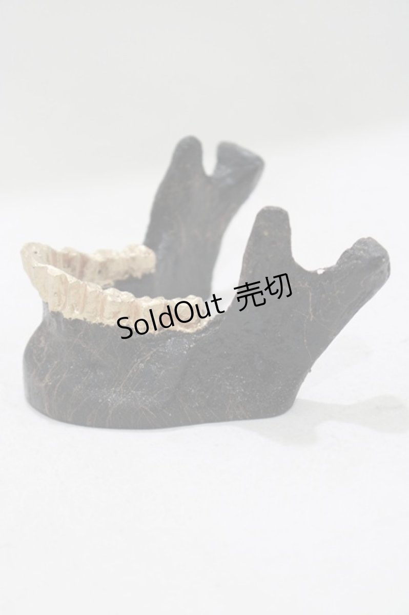 画像2: 【SALE】THE BLACKENED TEETH / JAW CARD HOLDER  BLKGMGLD H-25-03-30-1050-PU-ZA-KB-ZT-W004 (2)