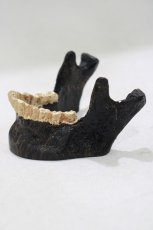 画像2: 【SALE】THE BLACKENED TEETH / JAW CARD HOLDER  BLKGMGLD H-25-03-30-1050-PU-ZA-KB-ZT-W004 (2)