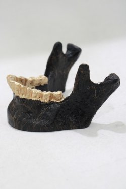 画像2: THE BLACKENED TEETH / JAW CARD HOLDER  BLKGMGLD H-25-03-30-1050-PU-ZA-KB-ZH