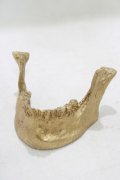 THE BLACKENED TEETH / JAW CARD HOLDER  GLD H-25-03-30-1051-PU-ZA-KB-ZH
