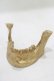 画像1: THE BLACKENED TEETH / JAW CARD HOLDER  GLD H-25-03-30-1051-PU-ZA-KB-ZH (1)