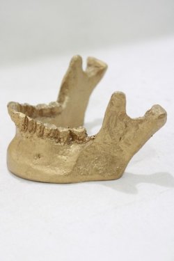 画像2: THE BLACKENED TEETH / JAW CARD HOLDER  GLD H-25-03-30-1051-PU-ZA-KB-ZH