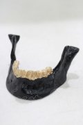 THE BLACKENED TEETH / JAW CARD HOLDER  BLKGMGLD H-25-03-30-1052-PU-ZA-KB-ZH