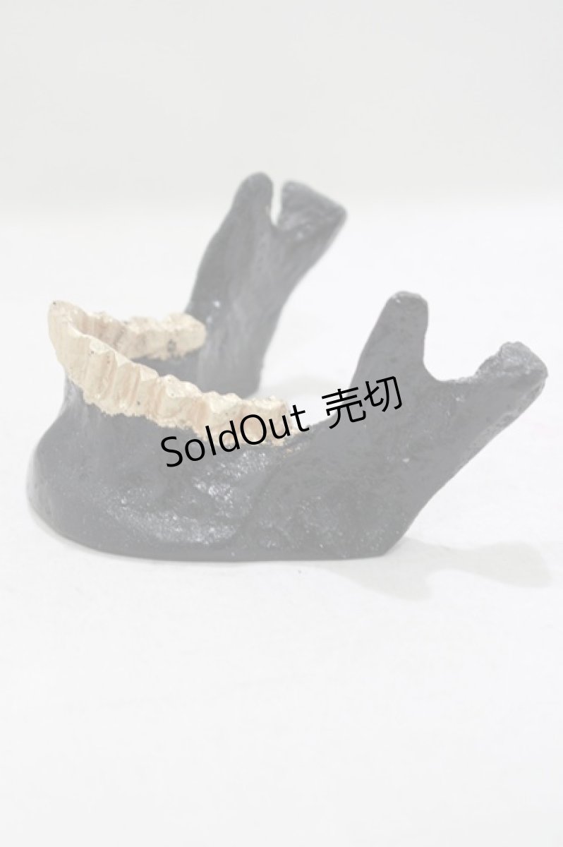 画像2: 【SALE】THE BLACKENED TEETH / JAW CARD HOLDER  BLKGMGLD H-25-03-30-1052-PU-ZA-KB-ZT-W004 (2)