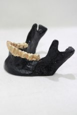 画像2: 【SALE】THE BLACKENED TEETH / JAW CARD HOLDER  BLKGMGLD H-25-03-30-1052-PU-ZA-KB-ZT-W004 (2)
