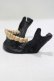 画像2: THE BLACKENED TEETH / JAW CARD HOLDER  BLKGMGLD H-25-03-30-1052-PU-ZA-KB-ZH (2)