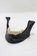 THE BLACKENED TEETH / JAW CARD HOLDER  BLKGMGLD H-25-03-30-1053-PU-ZA-KB-ZH