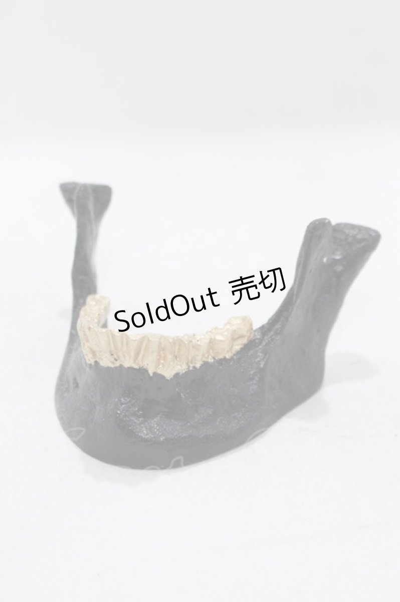 画像1: 【SALE】THE BLACKENED TEETH / JAW CARD HOLDER  BLKGMGLD H-25-03-30-1053-PU-ZA-KB-ZT-W004 (1)