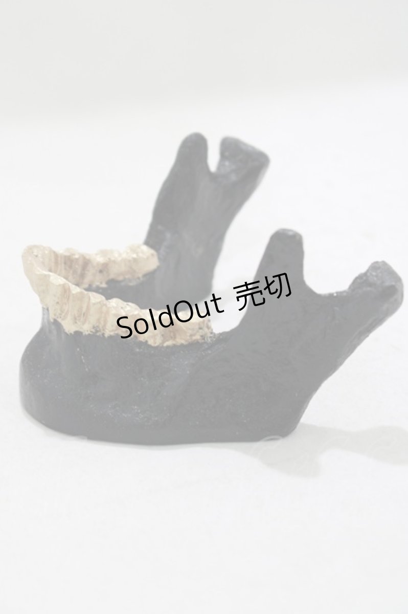 画像2: 【SALE】THE BLACKENED TEETH / JAW CARD HOLDER  BLKGMGLD H-25-03-30-1053-PU-ZA-KB-ZT-W004 (2)