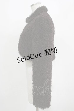 画像2: EXCENTRIQUE / Diddle Diddleボレロ  ブラウン H-25-03-30-1011-EL-JA-KB-ZT104