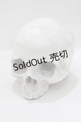THE BLACKENED TEETH / Skull of J.Doe Plinthオーナメント   H-25-04-01-045-PU-ZA-KB-ZH