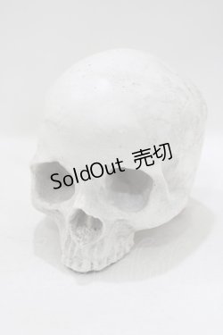 画像1: THE BLACKENED TEETH / Skull of J.Doe Plinthオーナメント   H-25-04-01-045-PU-ZA-KB-ZH