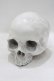 画像1: THE BLACKENED TEETH / Skull of J.Doe Plinthオーナメント   H-25-04-01-045-PU-ZA-KB-ZH (1)