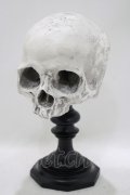 THE BLACKENED TEETH / Skull of J.Doeオーナメント   H-25-04-01-046-PU-ZA-KB-ZH