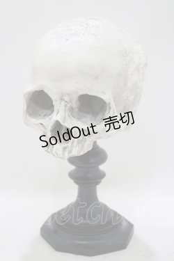 画像1: THE BLACKENED TEETH / Skull of J.Doeオーナメント   H-25-04-01-046-PU-ZA-KB-ZH