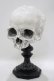 画像1: THE BLACKENED TEETH / Skull of J.Doeオーナメント   H-25-04-01-046-PU-ZA-KB-ZH (1)