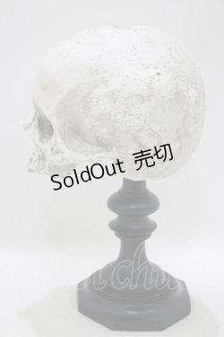 画像2: THE BLACKENED TEETH / Skull of J.Doeオーナメント   H-25-04-01-046-PU-ZA-KB-ZH