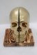 画像1: THE BLACKENED TEETH / Skull Bookends   H-25-04-01-049-PU-ZA-KB-ZH (1)