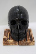 THE BLACKENED TEETH / Skull Bookends   H-25-04-01-050-PU-ZA-KB-ZH