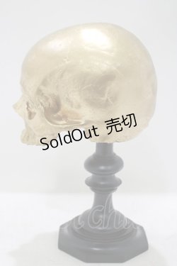 画像2: THE BLACKENED TEETH / AUREAT Golden Plinthオーナメント   H-25-04-01-052-PU-ZA-KB-ZH