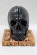 THE BLACKENED TEETH / Skull Bookends   H-25-04-01-053-PU-ZA-KB-ZH